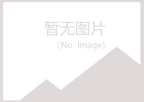 泰安夏岚水泥有限公司